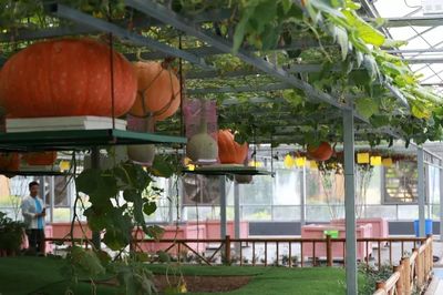 感受知青激情歲月，助力鄉(xiāng)村振興——省第九屆全民健身運(yùn)動(dòng)會(huì)氣排球活動(dòng)走進(jìn)蘭陵