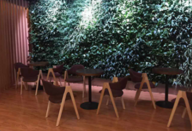 威格健身歲末感恩回饋 活力無限，健康同行